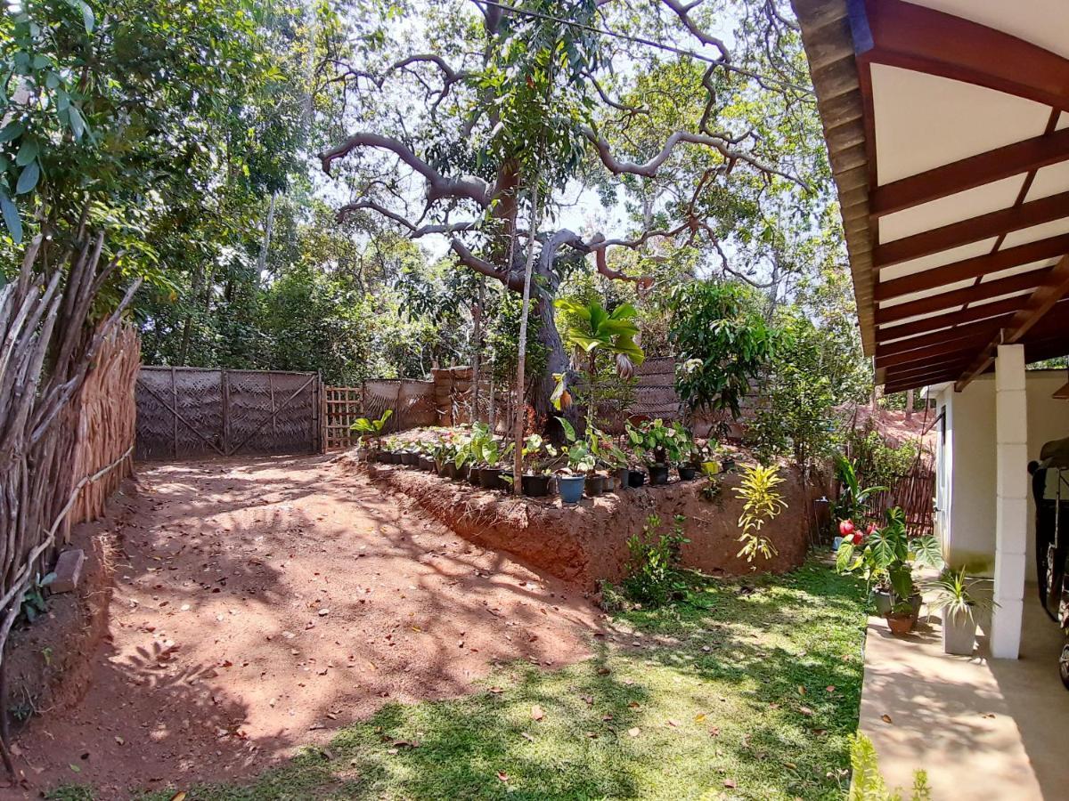 Cashew Villa Hiriketiya Dikwella Exterior foto