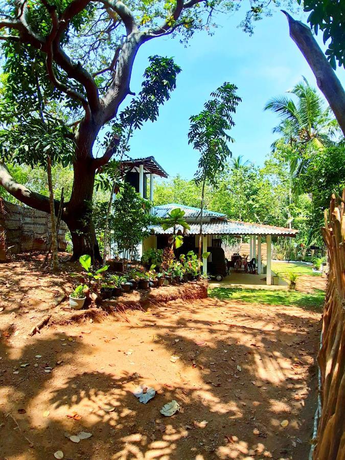 Cashew Villa Hiriketiya Dikwella Exterior foto